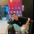 James - Psychology tutor - Brisbane