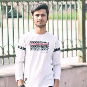 Harsh - Maths tutor - Lucknow