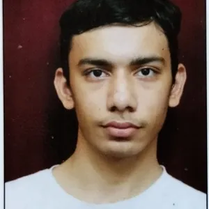 Kartik - Mathematics tutor - 