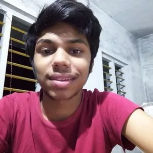 Thejas s Krishna - History tutor - Palakkad
