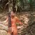 Hima - Reading tutor - Punnayurkulam