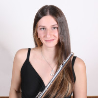 Clases particulares de flauta travesera: niveles de iniciación, escuela de música, elemental, o profesional.