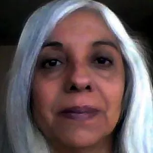 Ada - Profesor de historia - Santiago