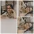 Rajshree - Accounting tutor - Indore