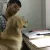 Estevao (Steve) - Maths tutor - Waterloo