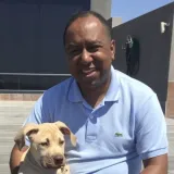 Jorge alexandre - Professor de inglês - 