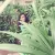 Shwetha - Maths tutor - Hyderabad