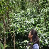 Smrithi - Maths tutor - Bengaluru