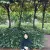 Iris - Maths tutor - Kluang