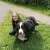 Jocelyn - Maths tutor - Woodthorpe