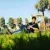 Beingadnan - English tutor - Meerut