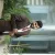 Neeraj - Biology teacher - 