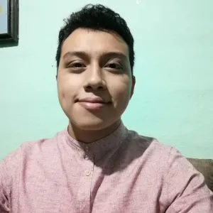 Antonio - profesor de programación - Acapulco de Juárez