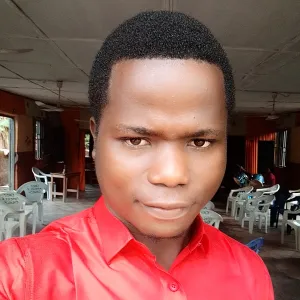 OGIDI - English tutor - Abuja municipal