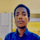ABDULLAHI - Chemistry tutor - Funtua