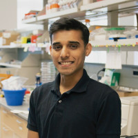 A medical student with an undergraduate concentration in Molecular, Cellular, and Developmental Biology from the University of Michigan.