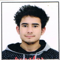 I am in last semester of B.tech( computer science) from HPTU. I can teach mathematics, Physics and Chemistry pretty well.