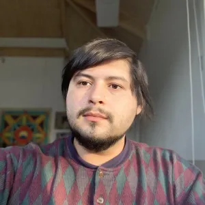 Emilio - profesor de dibujo - Osorno