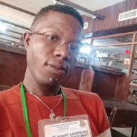 I teach maths, further maths, chemistry , organic chemistry with my best understanding, I am a student of Obafemi Awolowo University studying industrial chemistry, with my best of knowledge I will exp