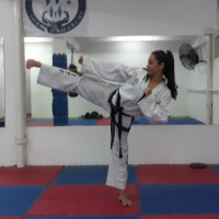 Soy instructor de taekwondo  III Dan y kickboxing  doy clases en dos lugares y por mi cuenta tengo alumnos que quieren ponerse en forma.