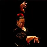 Ruth - Professor de dança - Brasília