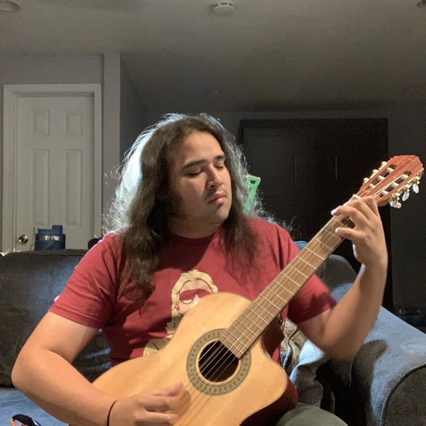 Creative Writing graduate and experienced music teacher looking to help with essays and any kind of English tutoring, as well as all levels of guitar, and an introductory teaching in singing and keybo