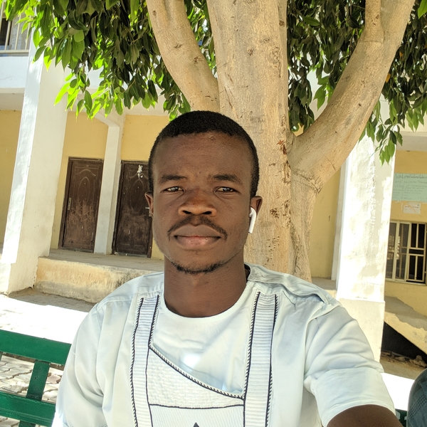 Experienced English language and History Instructor. I teach both Primary and Secondary students. I am available in Maiduguri, Borno State, Nigeria. I also hold online classes on request.