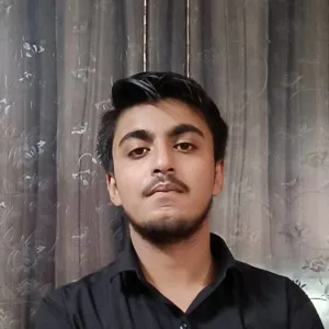 Astitva Verma - Economics tutor - Kanpur