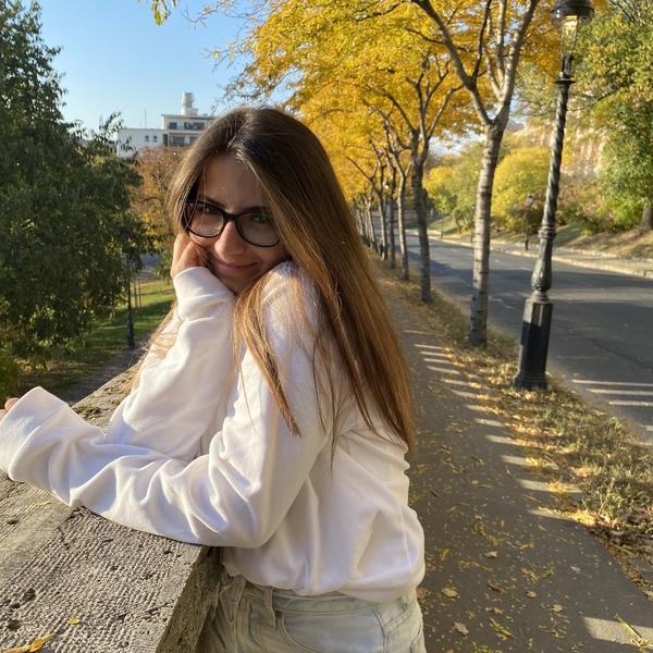 Alapszintű német nyelvórákat vállalok Budaörsön és környékén. B2-es nyelvvizsgával és érettségivel is rendelkezem. :)