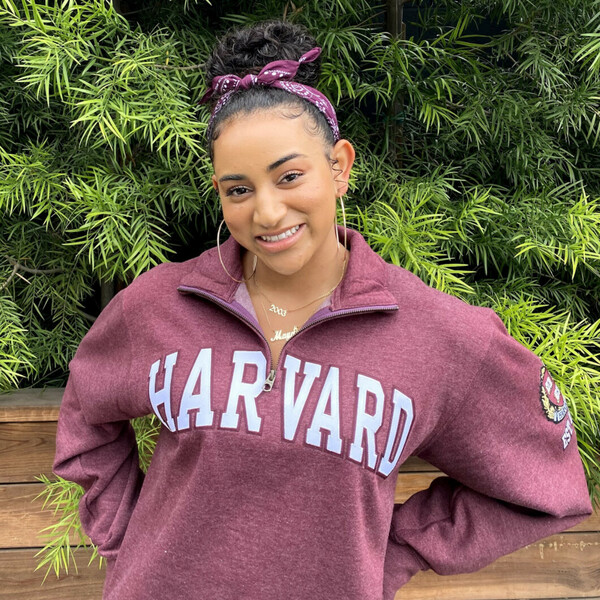 Harvard undergrad teaching Math from Elementary to High school directly from Harvard University, or remote.  6 years of tutoring experience including SAT math, and curriculum math extending to Multiva