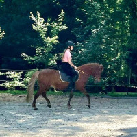 Cavaliere d'obstacle spécialisée en jeune chevaux avec plus de 10ans d'expérience propose cours à domicile ou sur mes chevaux
