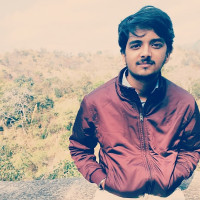 I'm an Undergrad, doing BTech. from Netaji Subhash University of Technology and bsc. In data science and programming from Indian Institute of Technology Madras. Good at physics, maths, programming.