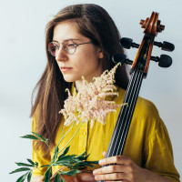 Individuell gestalteter Online Cello-Unterricht og Musiktheorie for alle Alters- og Erfahrungsstufen! Unterricht in verschiedenen Sprachen möglich!
