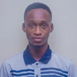 Adewale - Maths tutor - Eputu Town