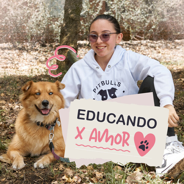 Student of Zootecnia gives classes in Dog Training at home for owners of pets and children, undesired behaviors are corrected and basic command of obedience to the dog is taught. (Bogotá,