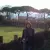 Yasmine - Prof de philosophie - Toulouse