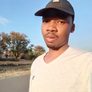 Lincoln - Maths tutor - Zebediela