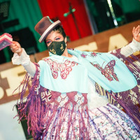 Estudiante de Educación Artística - mención danza (folklóricas). Apto para todos los niveles que deseen aprender sobre las danzas del Perú.