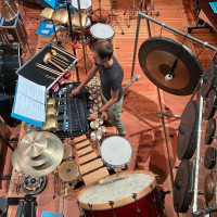 Musicien expérimenté, diplômé de la Haute Ecole de Musique de Genève donne cours de batterie et percussions pour tout niveaux.