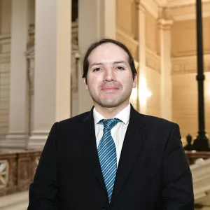 Ricardo - profesor de lengua y literatura - Santiago