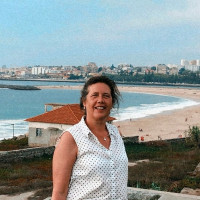 Professora de História do 2º, 3º Ciclo e Secundário, 25 anos de Carreira de Ensino Particular e Público na grande área do Porto