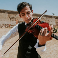 Private violin lessons in Colonia Del Valle Sur, Mexico City.