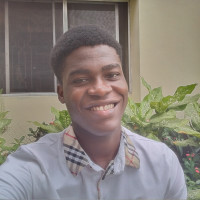 Are you here as a senior secondary school student who finds maths complex? Well you are at the right place!. My name is Ebuka, I am a dental student of Unilag. I teach secondary school students maths 
