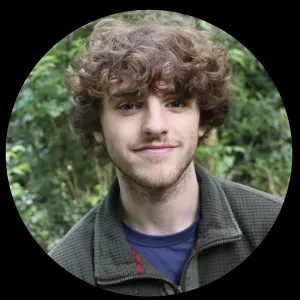 Madrid - Profesor de inglés - Madrid