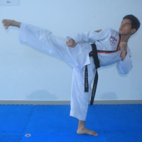 CLASES DE ARTES MARCIALES  / Instructor de artes marciales, Taekwondo ATA, KRAV MAGA.