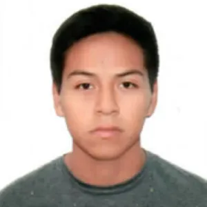 Arnold - Profesor de matemática - Trujillo
