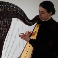 Artiste et musicienne, formée au conservatoire en harpe celtique et classique, propose des cours d'initiation ou d'approfondissement de harpe celtique.
