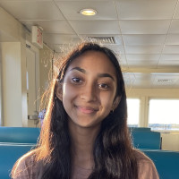 I'm a High school freshman (A+ student). Loves Math and enjoy teaching Elementary and Middle school Math! Can help with Home Works and help understand concepts.