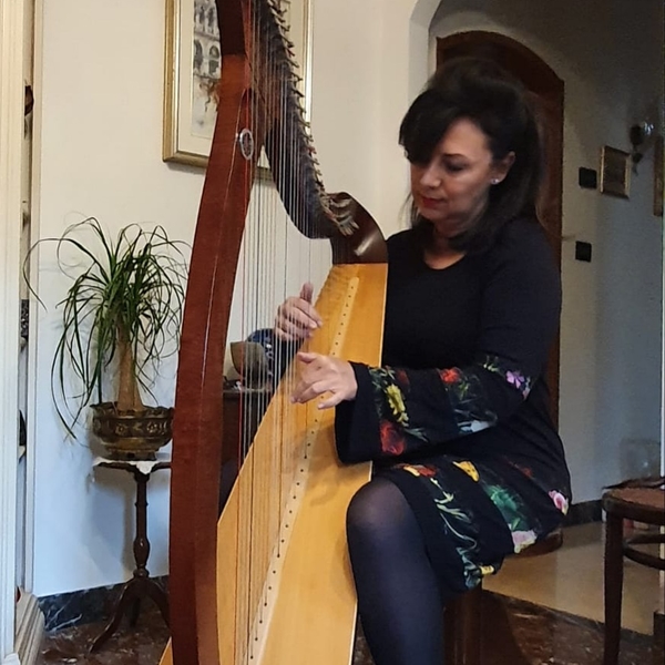 Insegnate di arpa.Diplomata in arpa Conservatorio B. Marcello di Venezia impartisco lezioni su arpa celtica a bambini età 6/11 anni o adulti.