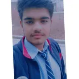 Aditya Kaushik - English tutor - New Delhi